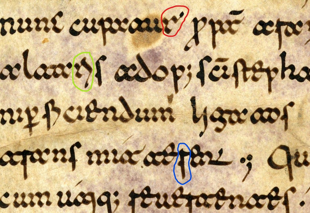 The script uses several different forms of [r], depending on the context. Here are three: at the end of a word (red), in the middle of a word (blue), and ligated with [i] (green).