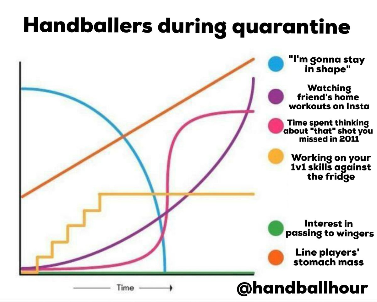 The official numbers are in! We are delighted to unveil our research to the public on the life of handballers over the past few weeks. #Handball #Quarantine