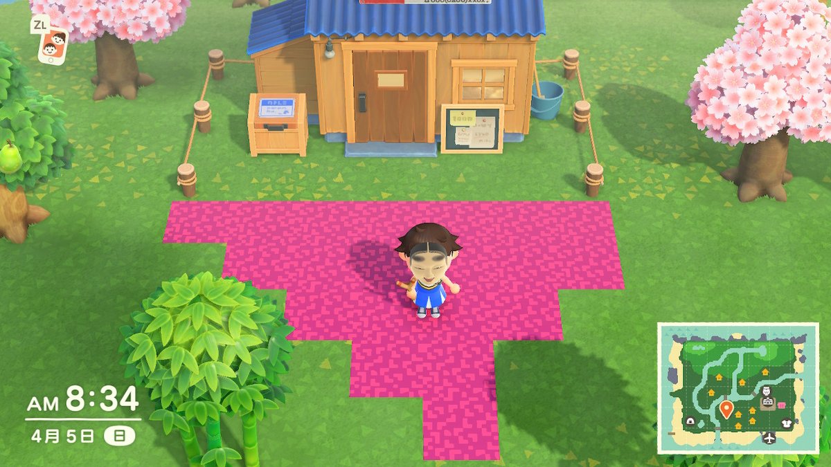 にきにゃ これはドラクエの毒沼 どうぶつの森 Animalcrossing Acnh Nintendoswitch