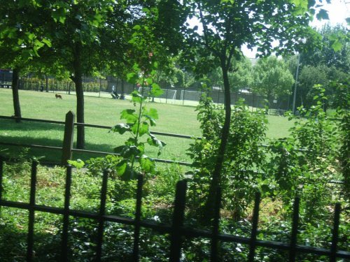 8/ Moving up the Northern line, we come to Paradise Park. It’s got all the basics and essential greenery around the outside, but the middle is filled by an exciting caged football pitch and inexplicably, a zoo. That sorcery in the centre makes it a perfect match for Lidl.