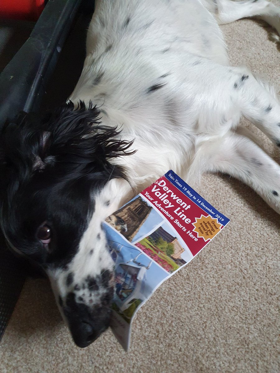Looks like someone's making use of #lockdown &amp; reading up on what to do along the #derwentvalley line for when we can go exploring again 🐶 <a href="/DVLrail/">Derwent Valley Line</a> <a href="/EMCommunityRail/">EMR Community Rail</a> @weareEMR #emrpotm #communityrail