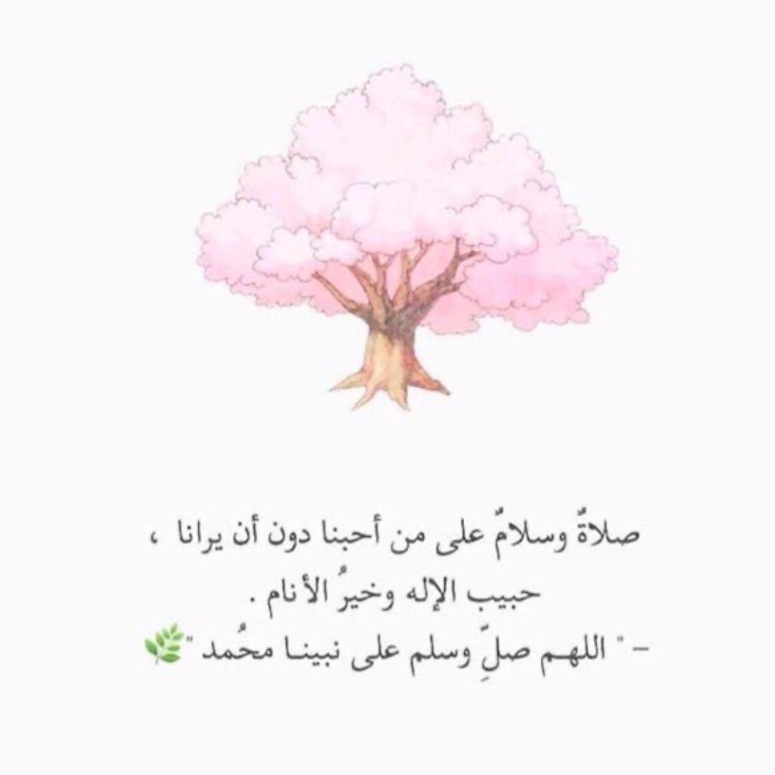 ha___37's tweet photo. اللهم صل وسلم على نبينا محمد          

#ساعه_استجابة https://t.co/GJBzX4Xbn6