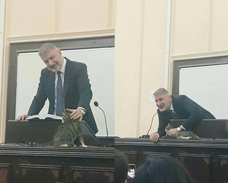 iuhfhayvanhak's tweet photo. Bu zor günlerde İÜHF canlarını yalnız bırakmayan değerli Danışman hocamız Prof. Dr. Bahadır Erdem’e teşekkür ederiz 🙏🏼 @BBahadirErdem https://t.co/A0DTqFUyAF