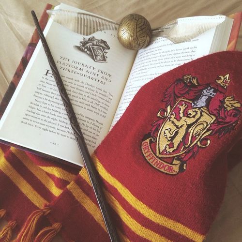 Ohm Pawat Chittsawangdeeー Gryffindor.ー 1/3 holy trinity. ー met chimon and nanon during their first year at the hogwarts expressー chaotic neutral. ー muggleborn but excels in witchraftry.ー he cried when he got a snowy owl as a present, and treasures it very much.