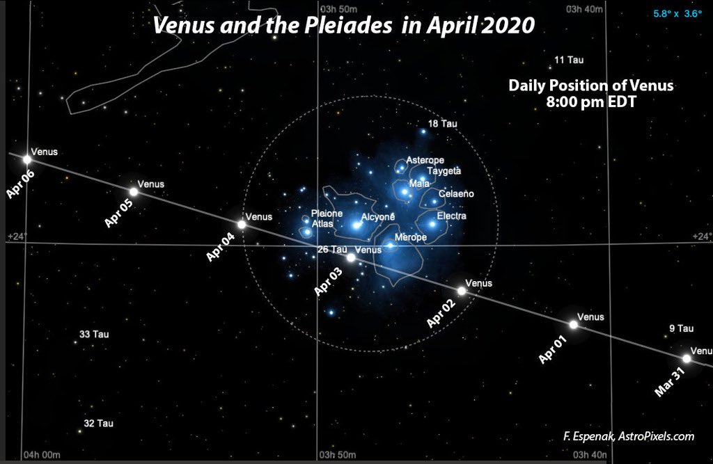 So, who’s up for borrowing a trick from  @esagaia & measuring the distance to Venus tonight as it glides past the Pleiades? Challenging, but may be possible. More in the thread below 1/