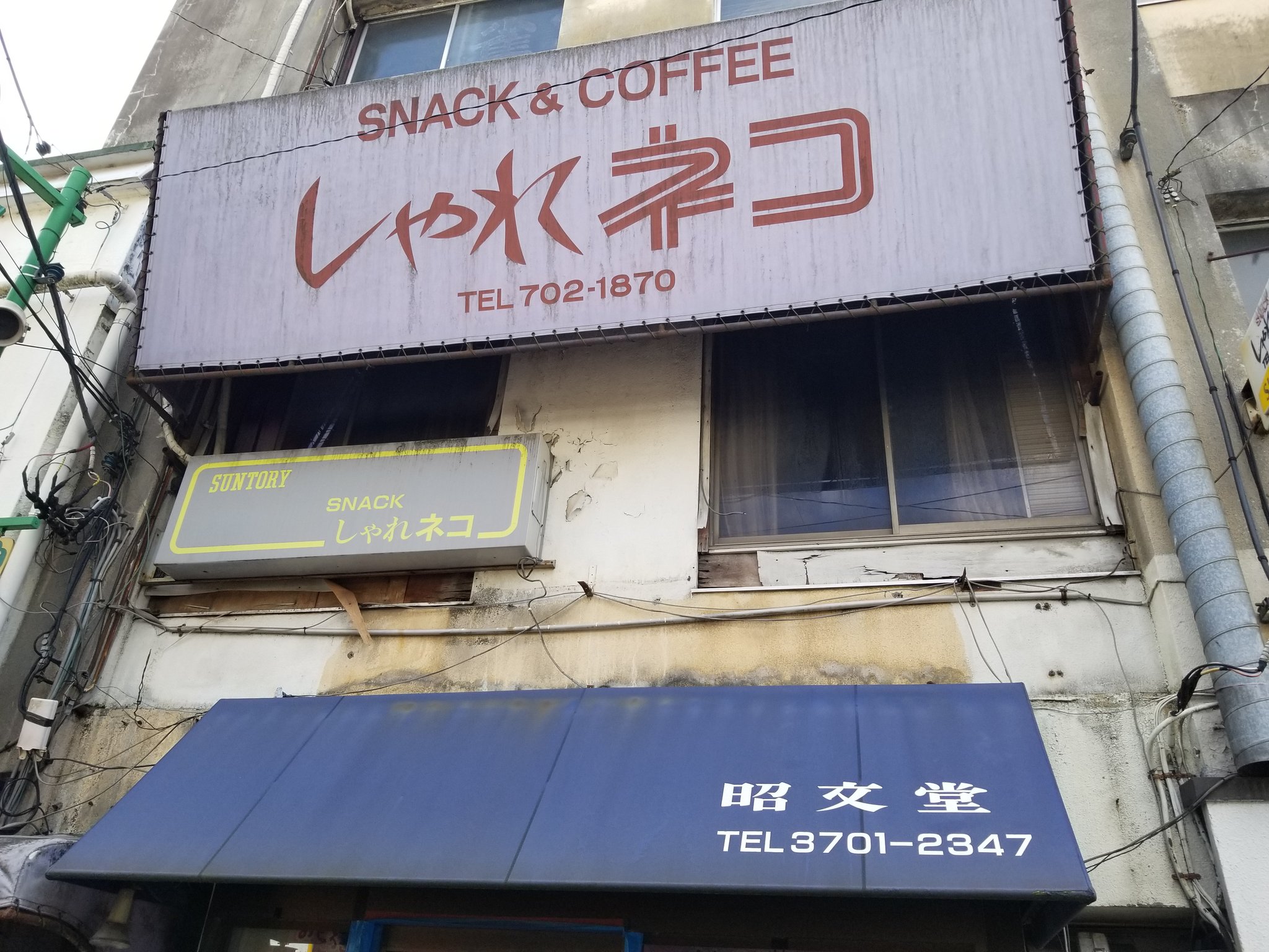 三浦靖雄 V Tvittere 登録441号は等々力駅前の文具店 昭文堂 の駐輪禁止張り紙 使用は 点字ブロックの上に停まった自転車 のイラスト 上の しゃれネコ というスナックもいい雰囲気です いらすとやマッピング いらすとや