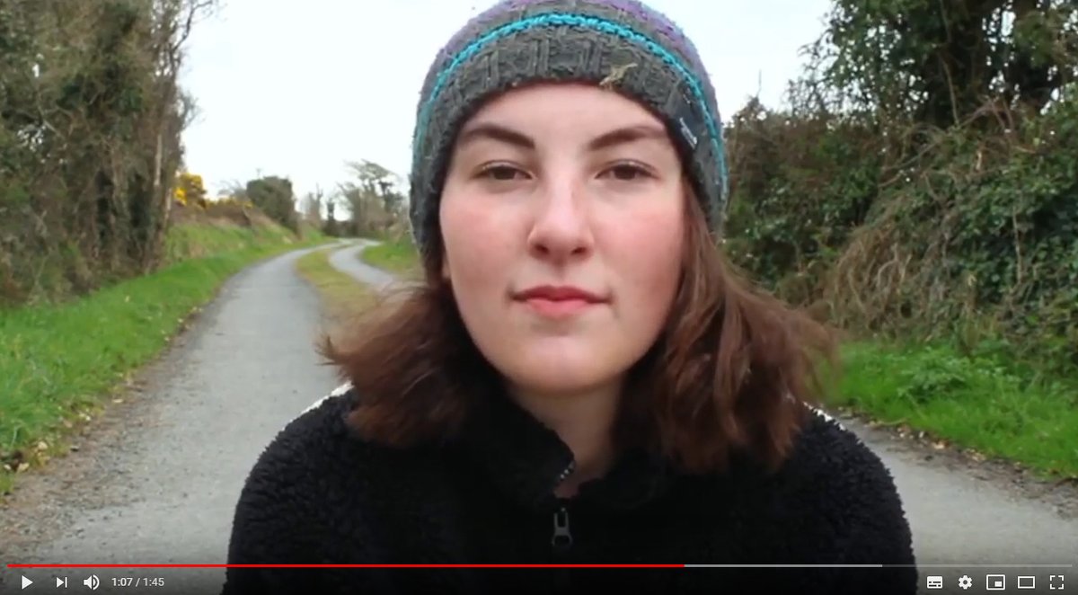 Wexford County Youth Theatre  @wexfordarts in Ireland.(see their whole video here: )