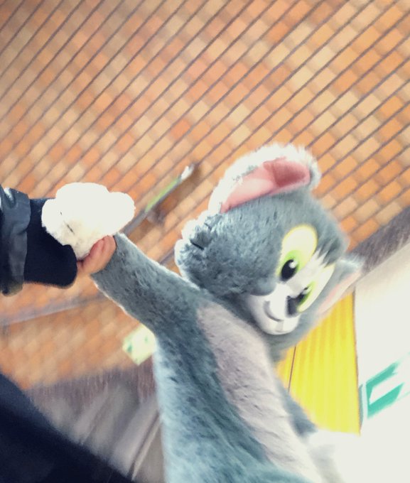 トムとジェリーのtwitterイラスト検索結果