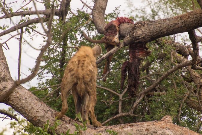 Warren Abbey tweet media