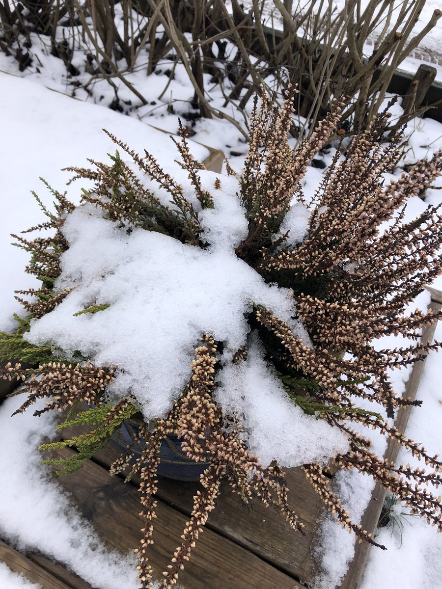 Ei sanoja, ei ihmisiä 2/7. No words, no people. #elämänikuvina #mylifeinpictures