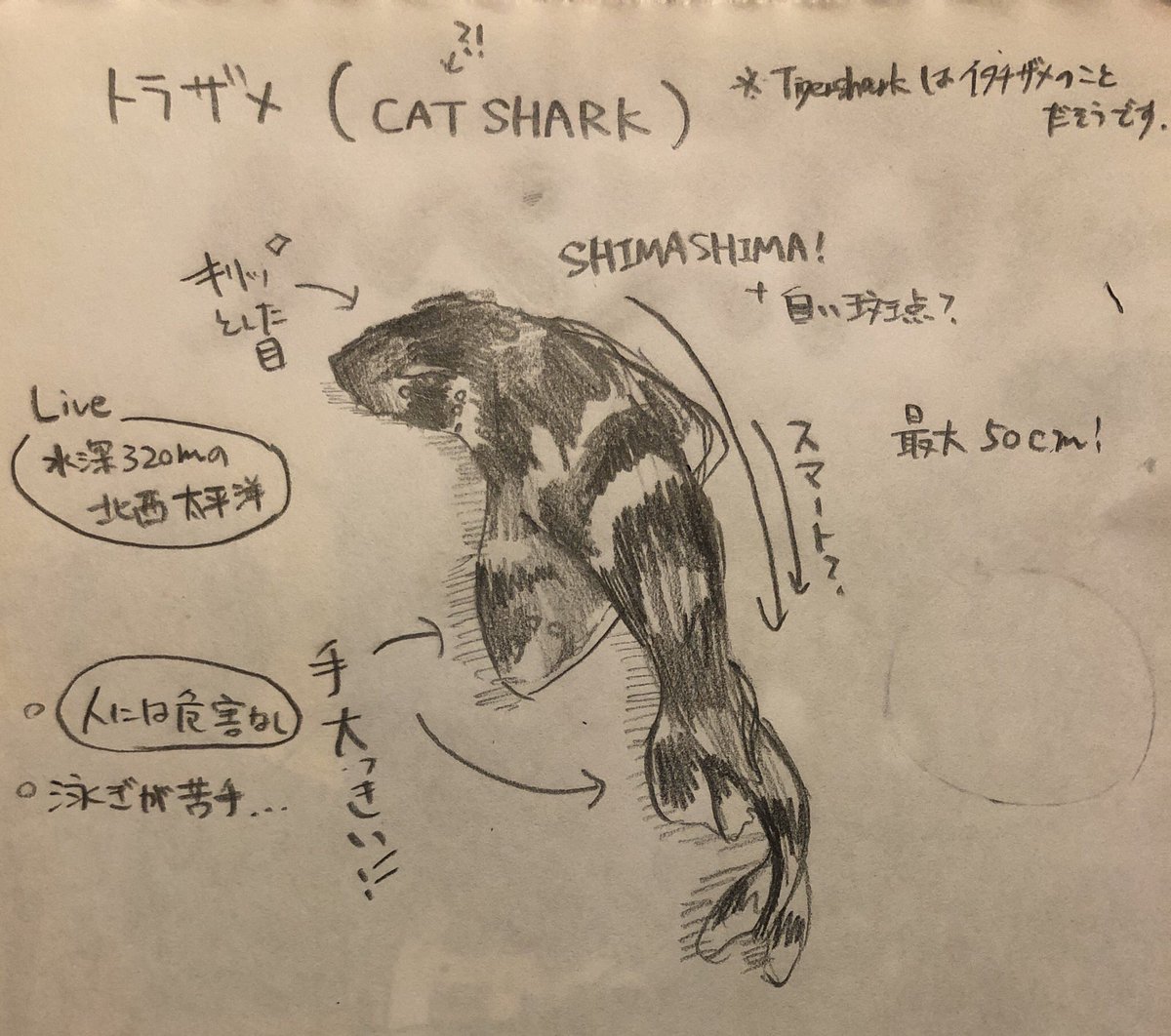 情報収集下手くそか 