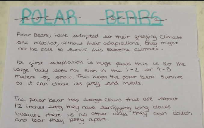 DrHarbachTMCS's tweet photo. Today in TMCS science 8m1 have done an educake challenge - look at those scores! Harry has taught us about atoms. Layla has looked at polar bear adaptations. Kiana and Morgan were the first to start the next kahoot challenge! @mrfrankish @TimSmithCEO @PPatelTMCS @tmcsjanzan https://t.co/QZgMeMPUI2