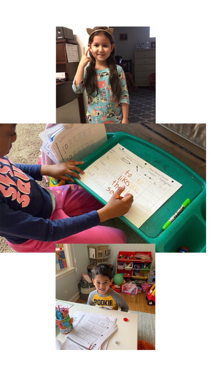 Christina Bertolacci tweet media