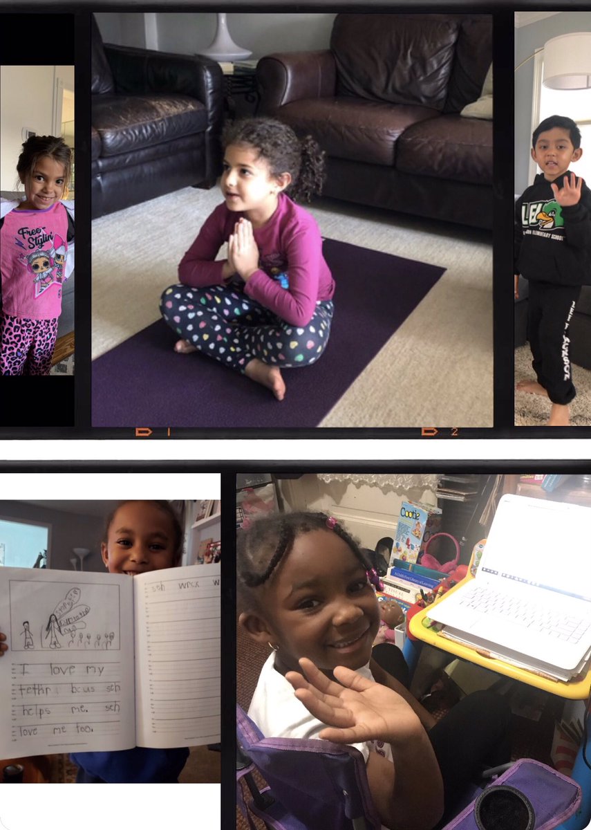 Christina Bertolacci tweet media