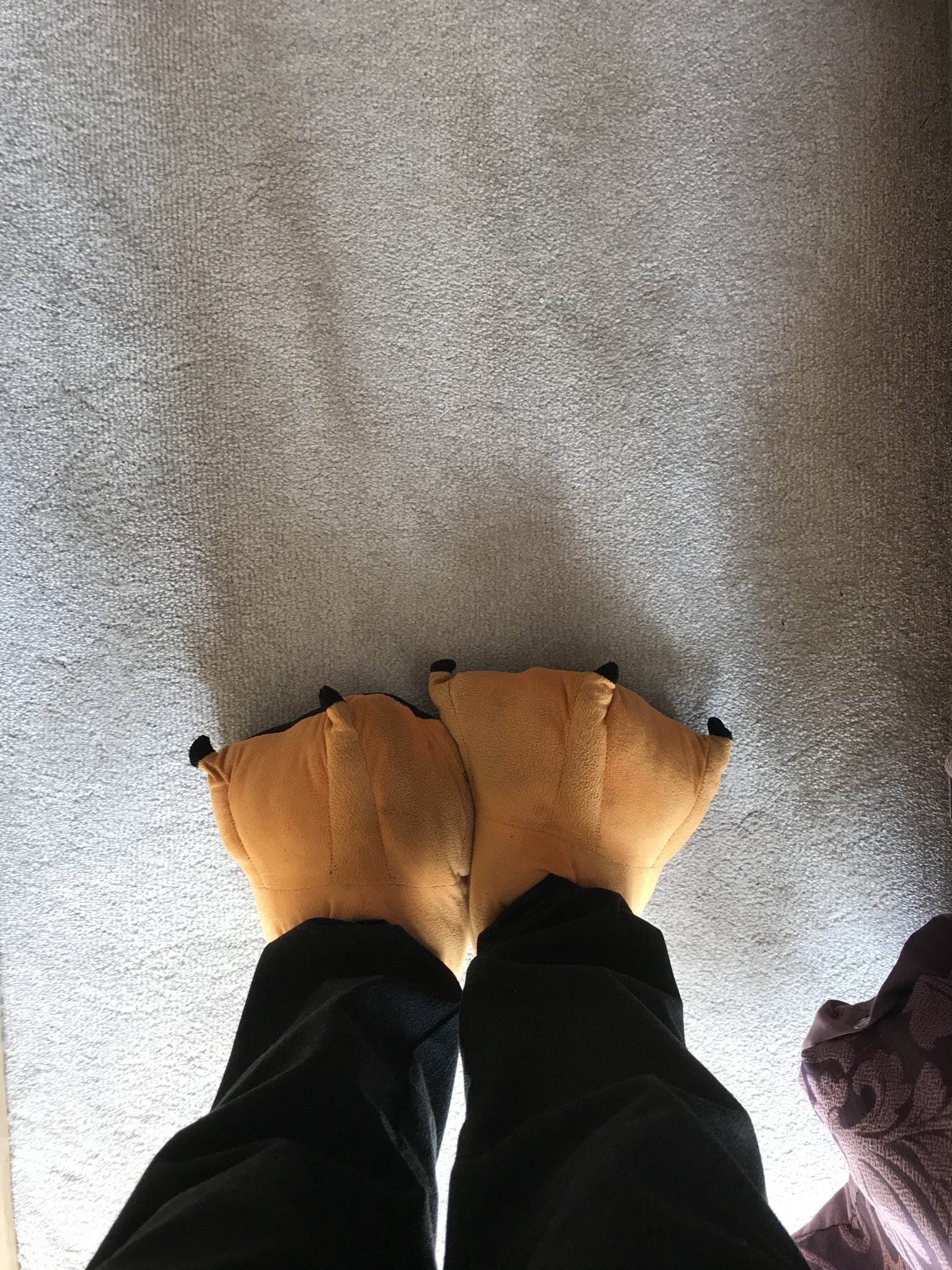 Michelle Heeley KC on Twitter: "This well be the first and only time I get to wear duck feet to a court hearing. X