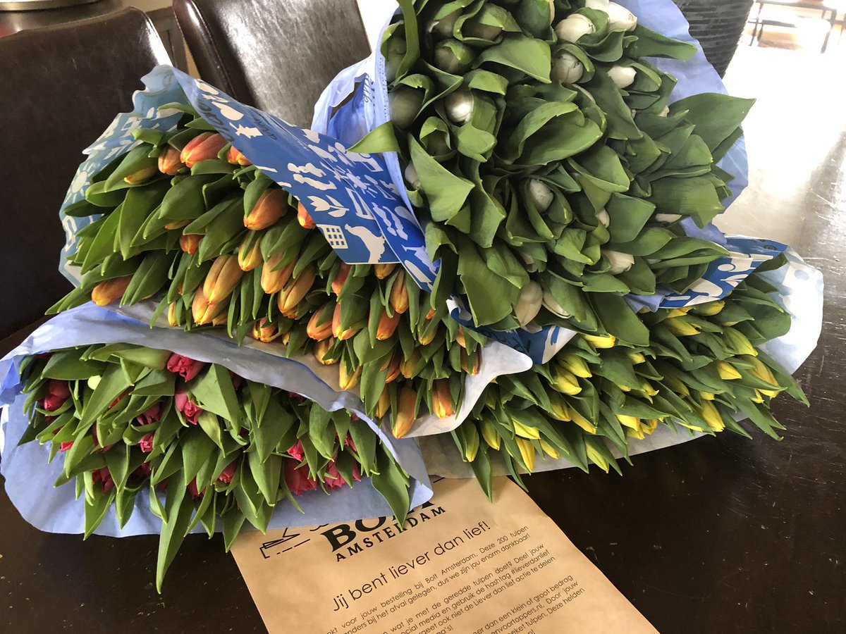 jacintalutterop's tweet image. De mooi tulpen van #BOLTAmsterdam zijn zojuist aangekomen. Vanmiddag onze familie maar eens flink in het zonnetje zetten #lieverdanlief