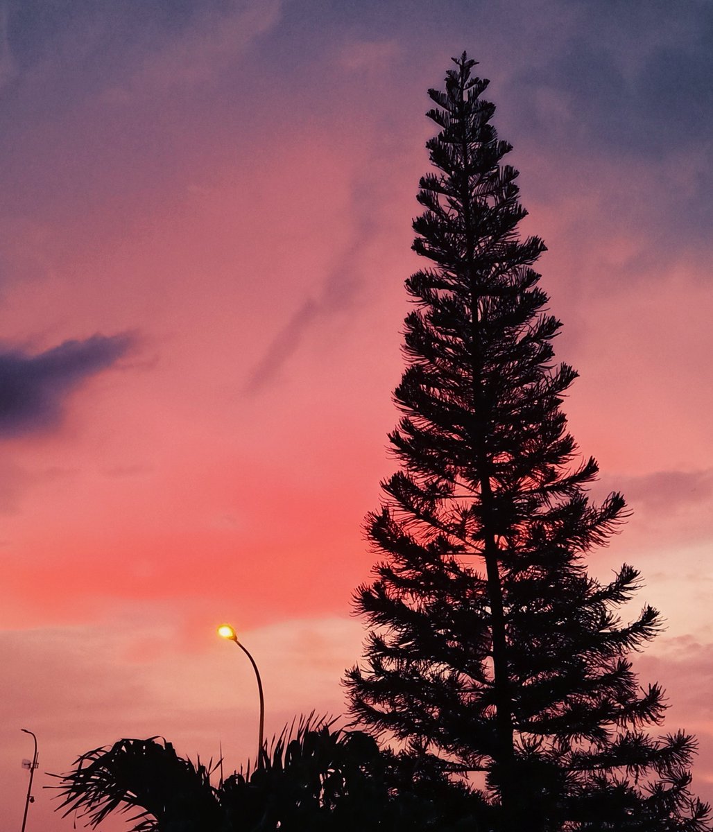 129sutan's tweet photo. Langit jakarta ngga pernah secantik ini!!! https://t.co/NVIhDzdsrK