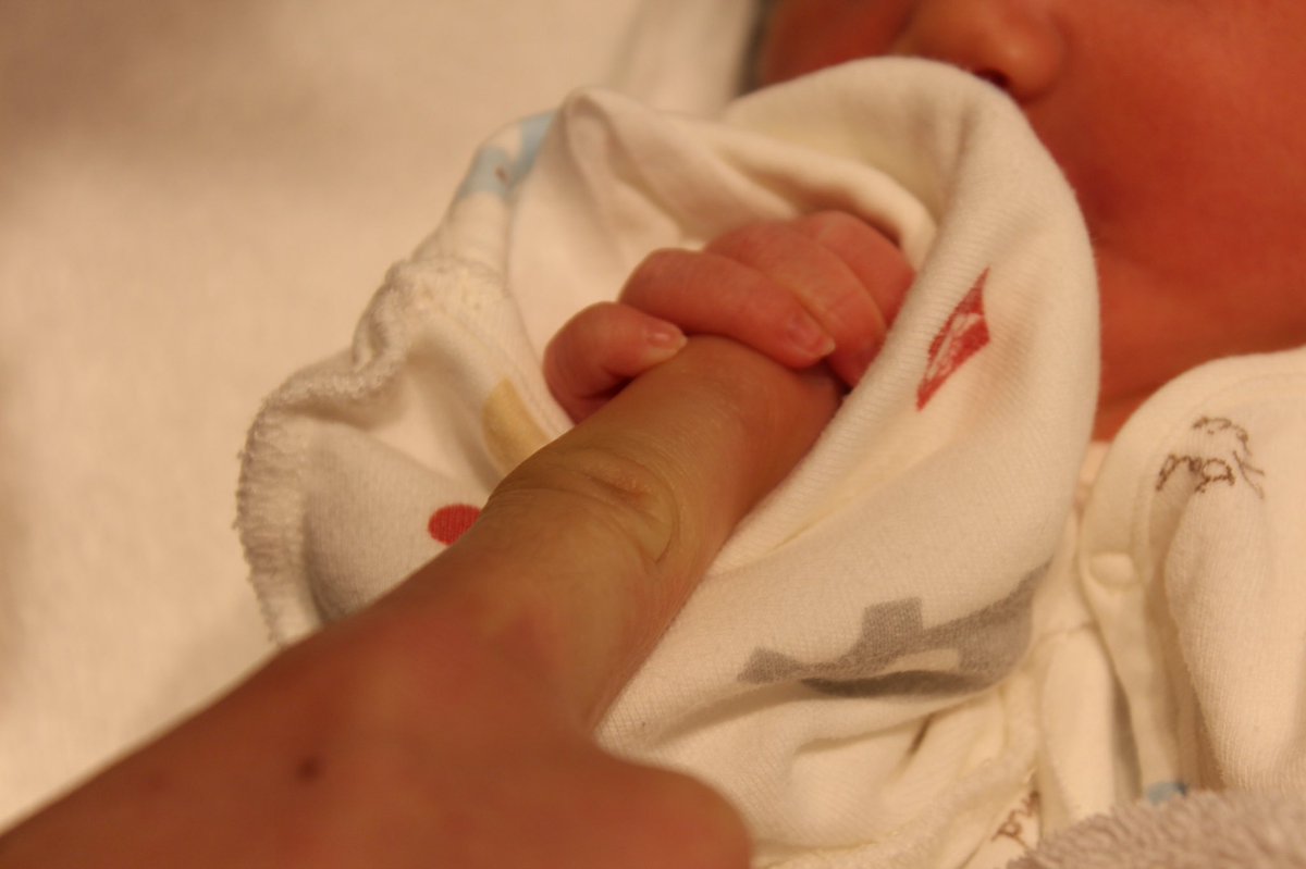 ばんぴも tweet media