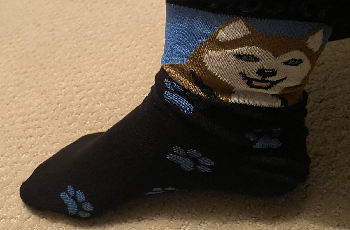 Jennifer Turetzky tweet media