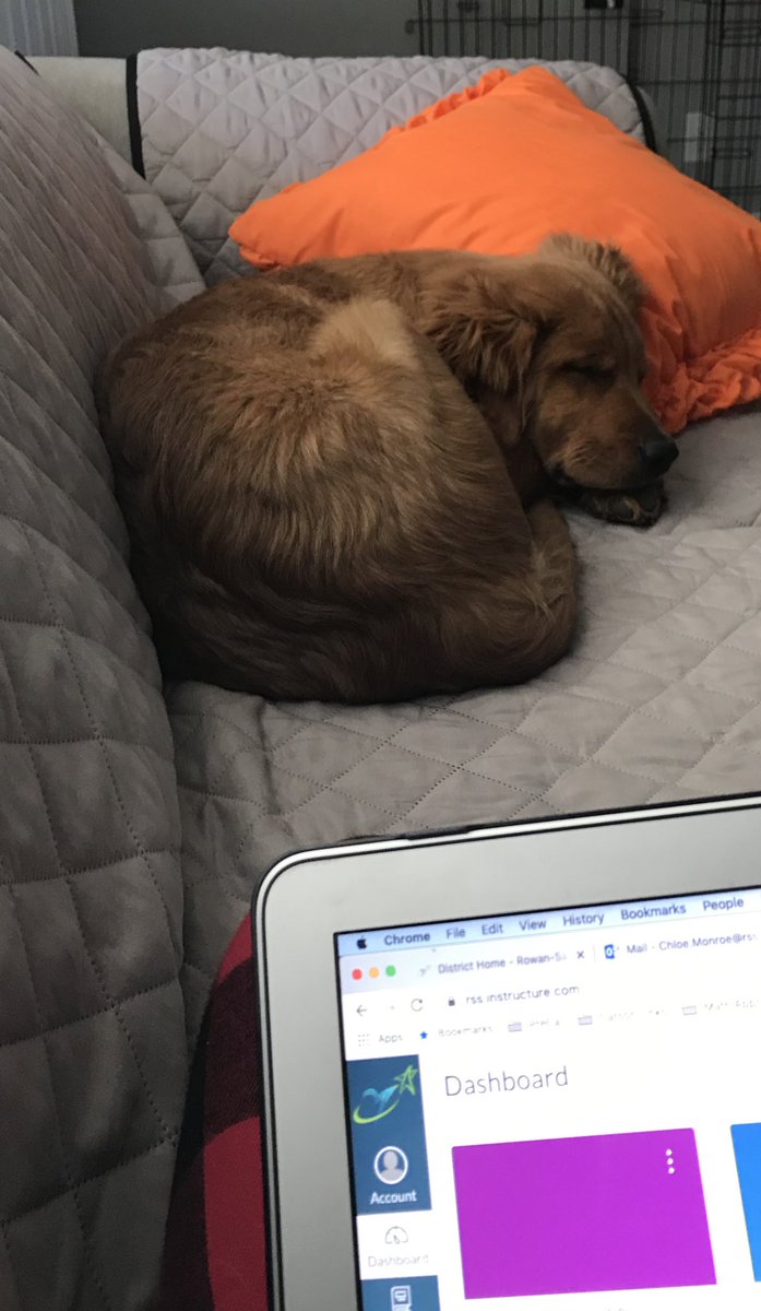 Friday mood...💤💤💤