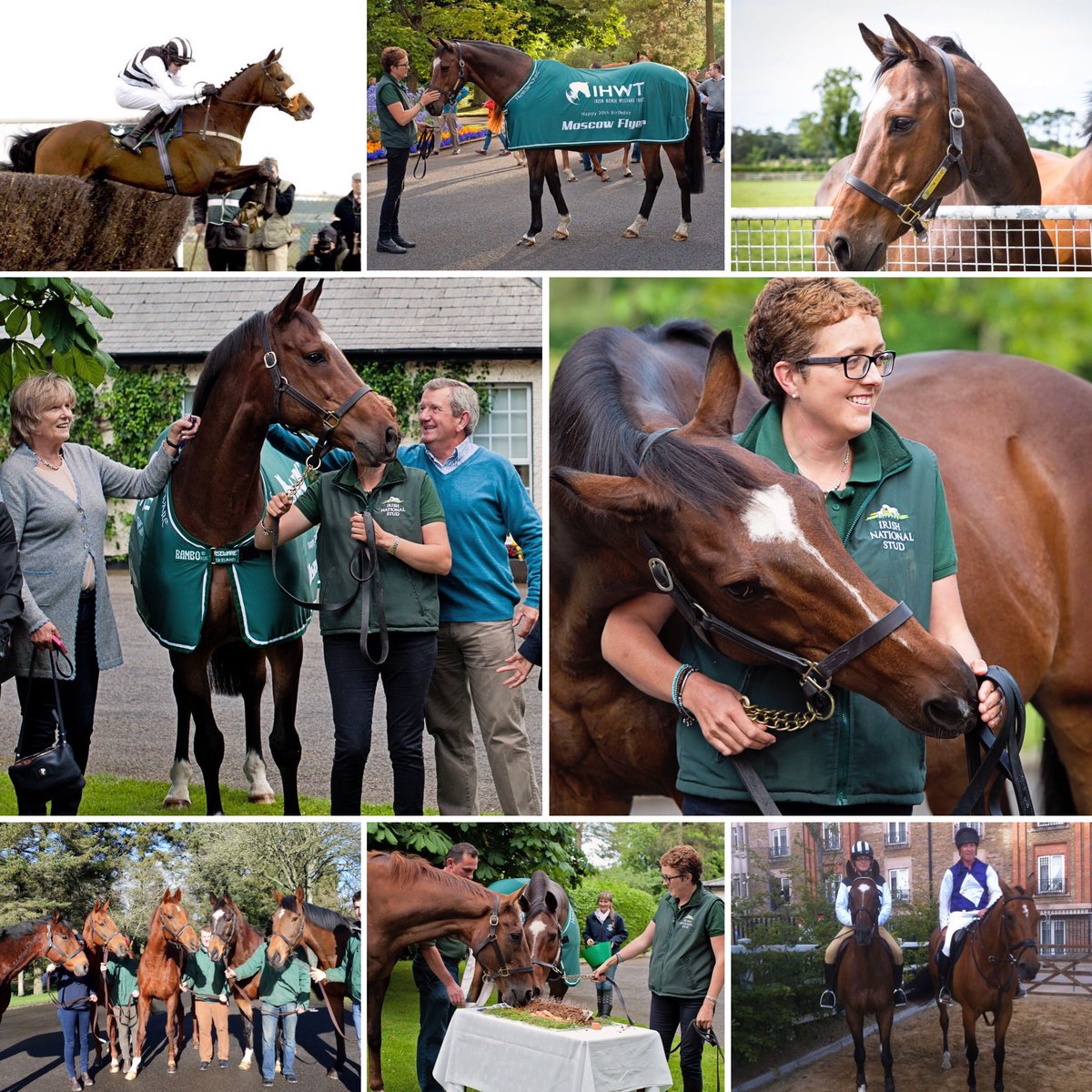 Irish National Stud (@irishnatstud) on Twitter photo Former Living Legend at the Irish National Stud and all round superstar MOSCOW FLYER.
We would love for you to share your photo & memories of Moscow with us.
Trained by <a href="/Jessica_Racing/">Jessica Harrington</a> for owners Brian & Theresa Kearney and ridden by <a href="/BarryGeraghty/">Barry Geraghty</a> Former Living Legend at the Irish National Stud and all round superstar MOSCOW FLYER.
We would love for you to share your photo & memories of Moscow with us.
Trained by <a href="/Jessica_Racing/">Jessica Harrington</a> for owners Brian & Theresa Kearney and ridden by <a href="/BarryGeraghty/">Barry Geraghty</a>
