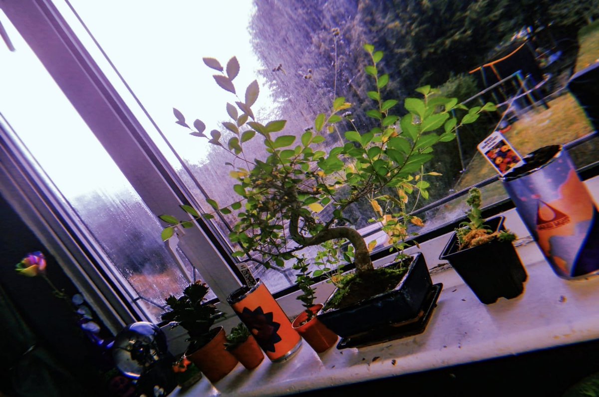 Struggling to keep yourself occupied?🤷🏻‍♀️

If you have any cans with  cool artwork on (too pretty to throw away obviously) why not use them to plant your favourite flowers! 🎍🌻

This idea came from Rae one of our bar troops 🍻💪🏼

#Recycle #HeadofSteam #BeerCans #StayHomeSaveLives