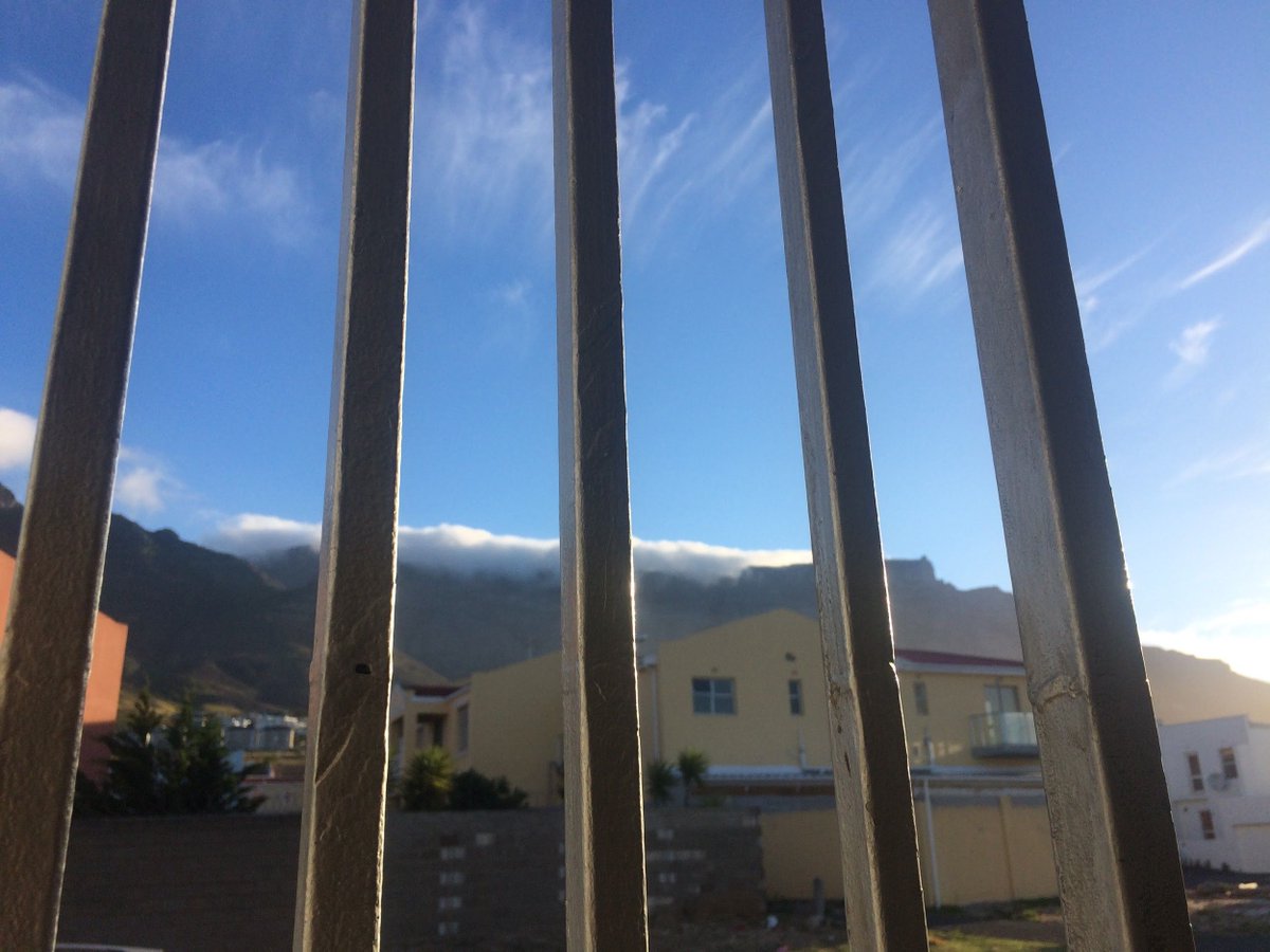 Discover Society tweet media