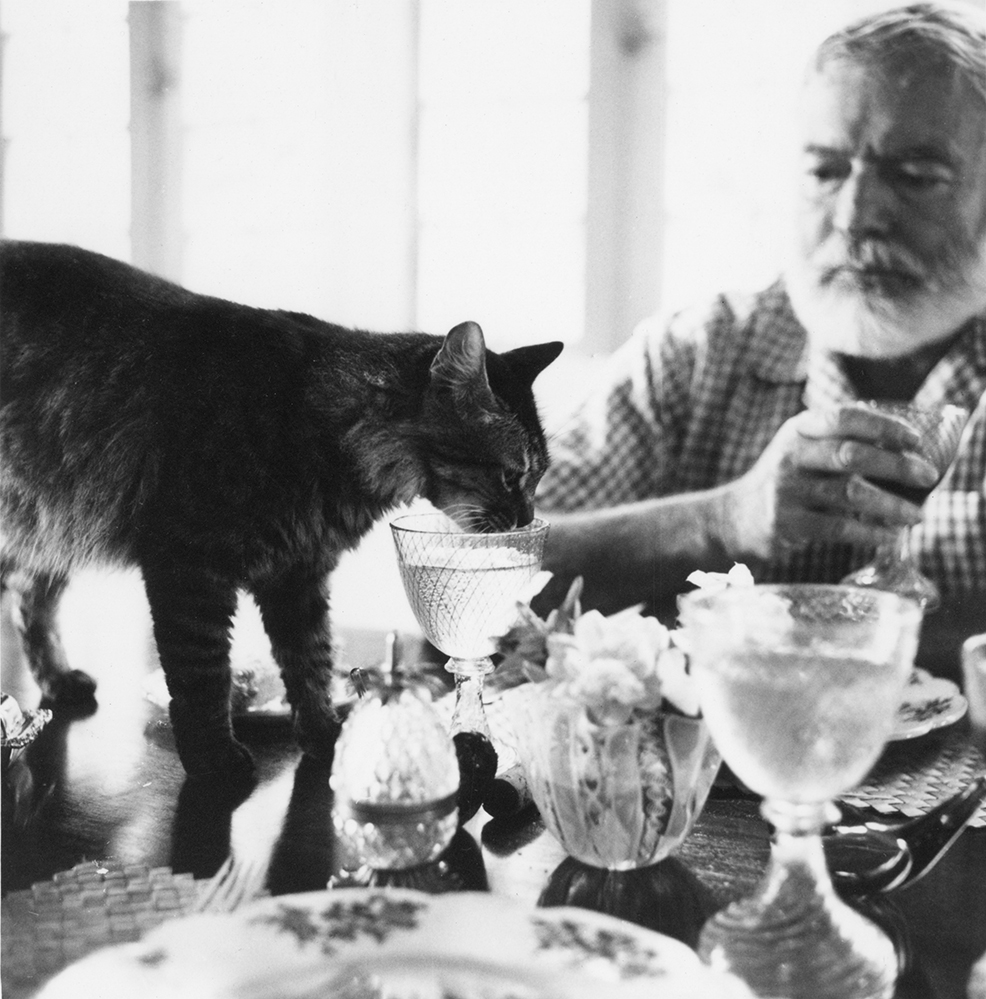 Companhia das Letras on X: "Ernest Hemingway era um apaixonado por gatos e, especialmente, gatos polidáctilo, desde que ele ganhou a Snow White, uma gatinha com seis dedos. (Foto: Ernest Hemingway Photographs