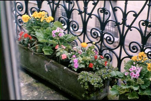 gloriamassana's tweet photo. Day Mood.

#ConteDePrintemps #ÉricRohmer https://t.co/frBasbhRtr