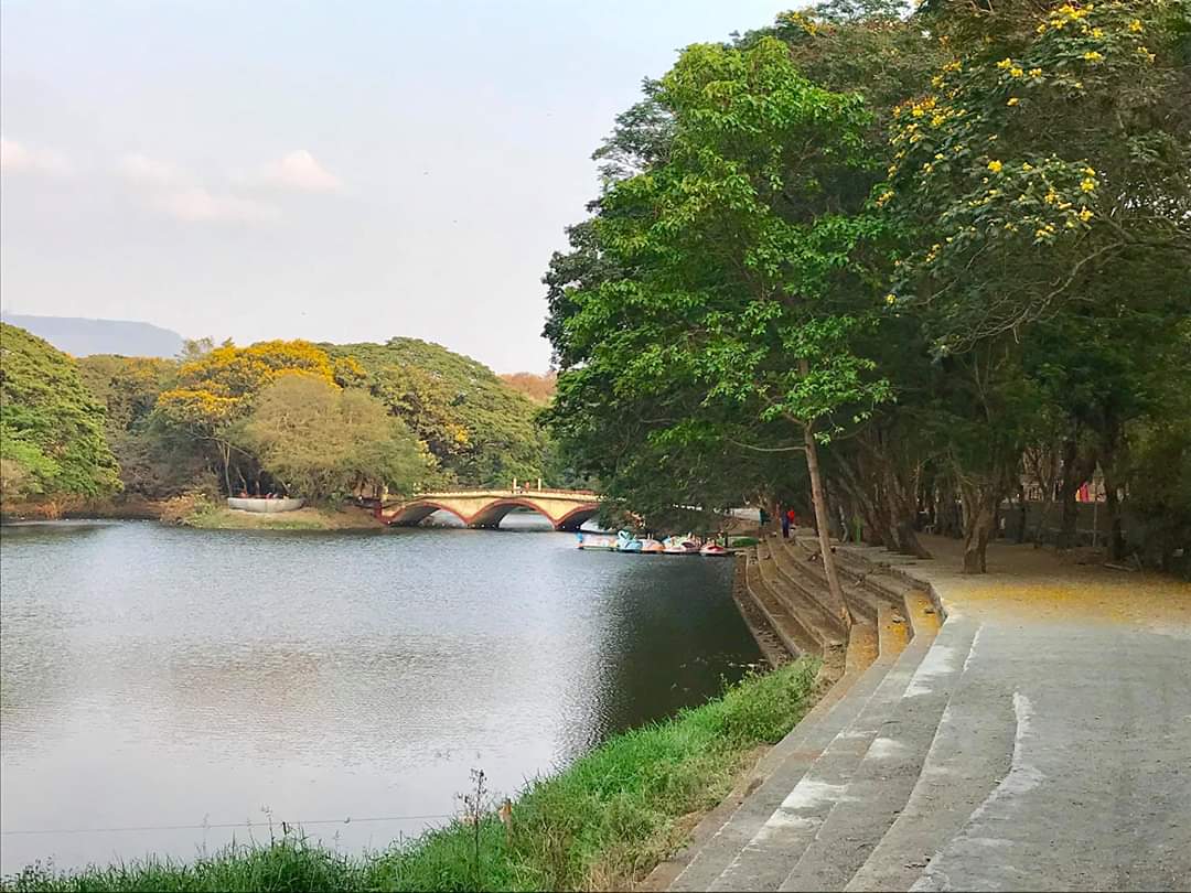 sarikadabral99's tweet photo. #Covid19 effects in our forest..see the beauty and feel it..and your government wants to destroy it for greediness and spread land mafia...shame 🌲🌲🌳🌳🌴🌴
#saveAarey
#Authackery
#UdhavThackeray
#1000DaysofSavingAarey https://t.co/RYWHl41c6G