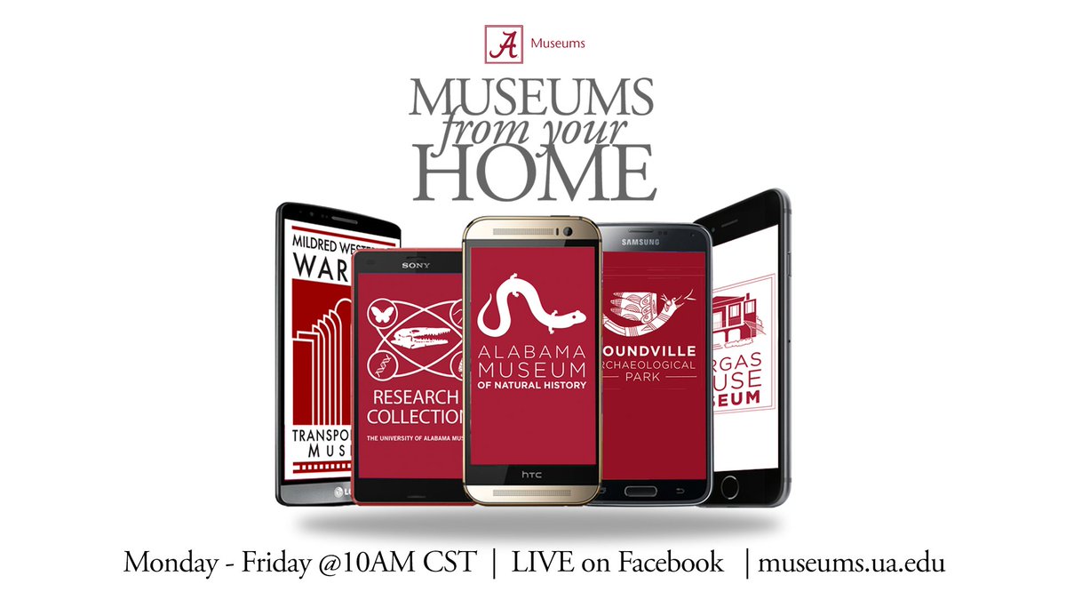 UAMNH's tweet photo. TODAY at 10 AM: 👉 Join us LIVE on our @Facebook page for a fun family activity that will help all ages think about Deep Time! ⌛
⁣
🔗: https://t.co/sCfuhYC4OB
⁣
#UAMuseums #MuseumFromHome https://t.co/oqGZdE16ZD