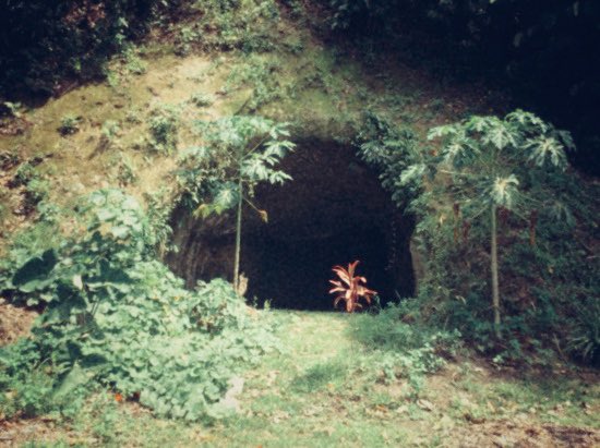 Were tunnels dug into the hills near the harbour used to hide ‘midget submarines’ whereas tunnels inland were for fortified bunkers. We all know Japs dug lots of tunnels and caves like those in Iwo Jima. #Rabaul #aircraftwrecks #WWII #warhistory