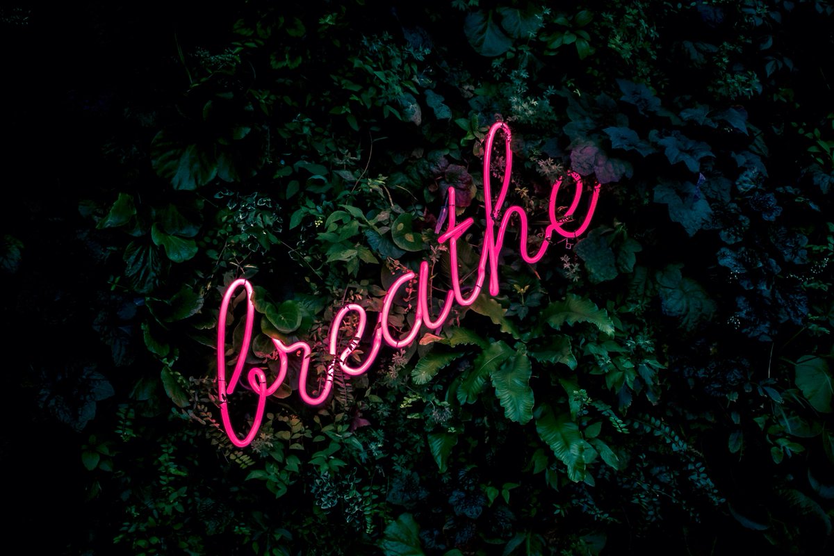 LazyDancerTips's tweet photo. Life is an endless cycle.
We breathe in, we breathe out.
Take time to work on your breathing today.
#Dancingwillmakeithappen #lazydancertips #lazydancerstudio #ballet #balletto #balletfitness #covid_19 #dancetutorial #balletclass #balletlesson
Photo: Fabian Møller Unsplash https://t.co/OXINsPbkVf