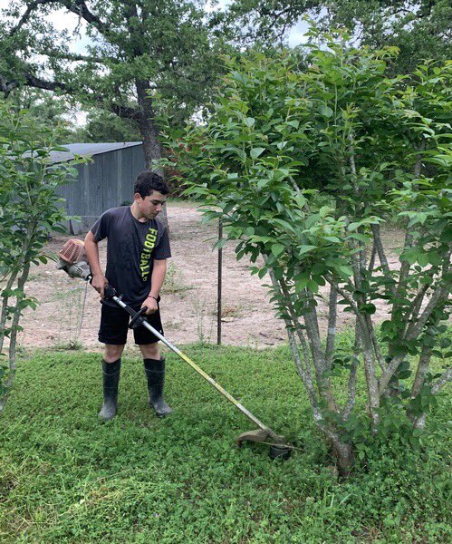 RTC_HS's tweet photo. ✔️ Yard duties
✔️ Oil change
✔️ Band t-shirt sorting
This is how our Cub Family stays busy 💛
#COVIDCantStopTheCubs
#CubsKeepCalmAndCarryOn
#RTCStrong
#RTCProud https://t.co/0RyG7RZXp9
