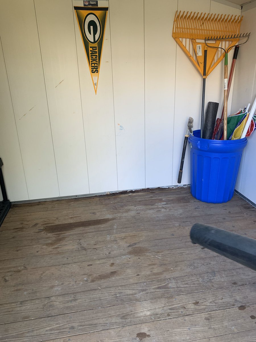 terrye_thorp's tweet photo. @TeamPulte I was able to power wash my shed and clear and clean out the inside.  Looks brand new.  Much needed project completed. Feels great #powerwash #cleanandorganize #feelinggood https://t.co/br46OPQCCX
