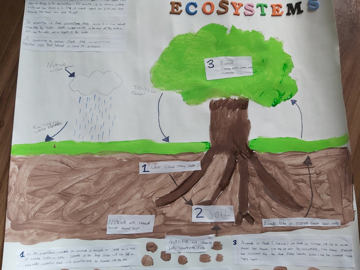 ratoad's tweet photo. @OPA_LG_5KB sam's been busy this afternoon 😊🌧🌞🌲🌿 https://t.co/teuGhKLWc2