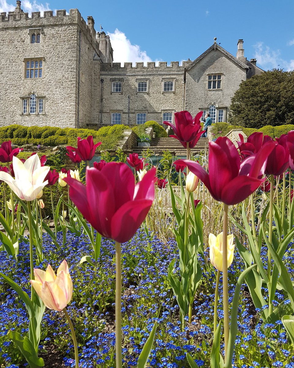 dvk0368's tweet photo. #FridayForay Springtime at Sizergh Castle 22nd April 2017 @nationaltrust @NTsouthlakes @SizerghCastleNT #sizergh #kendal #Cumbria #lakedistrict #southlakes #tulips #spring #bluesky #landscape #scenery #view https://t.co/dryBgKbGnb