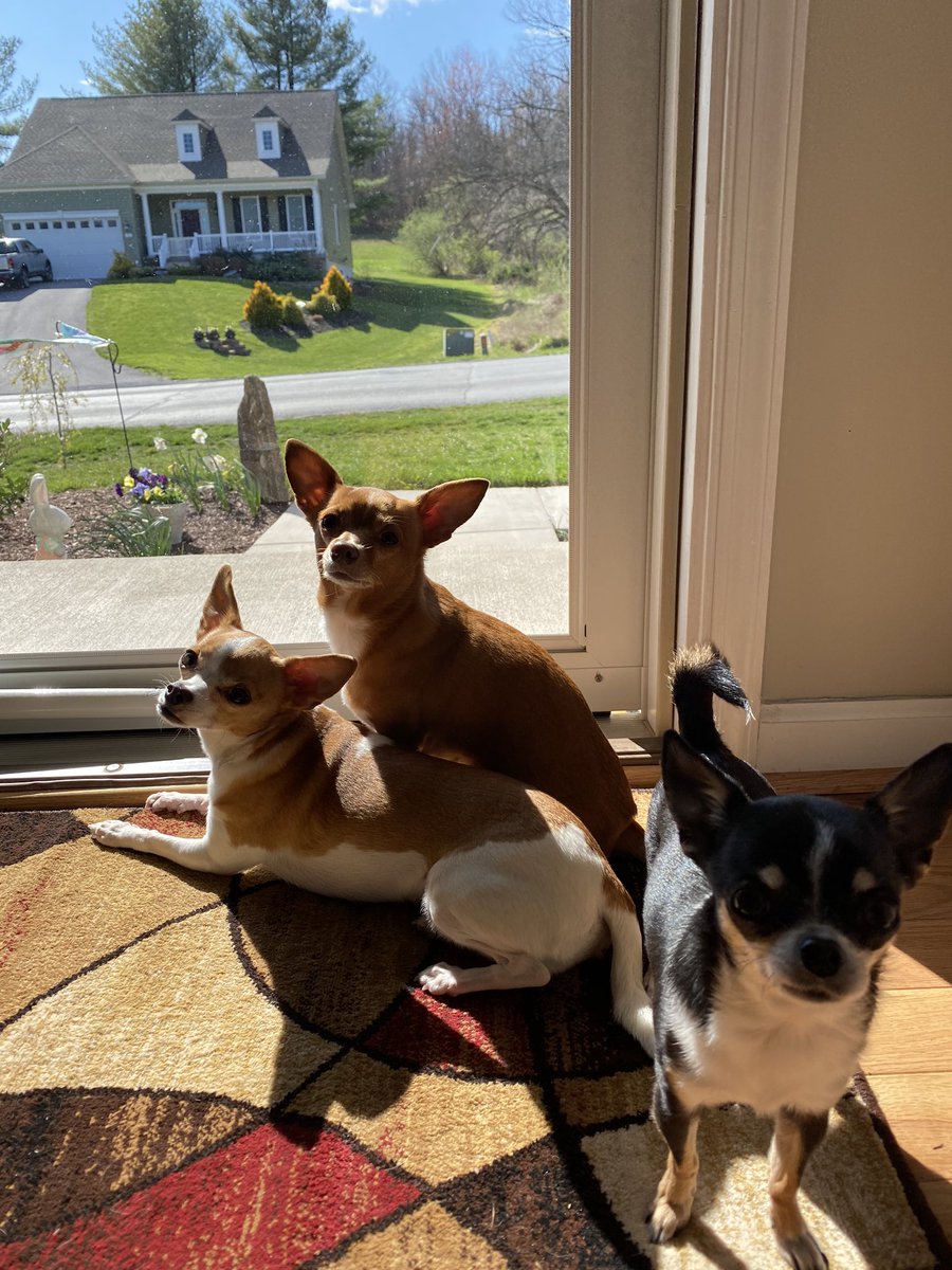 #gooddaydc #thismakesmesmile