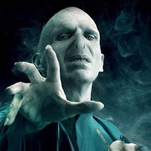 Voldemort was known as the Dark Lord, while ‘Tam’Raj literally translates to Lord of the Dark
