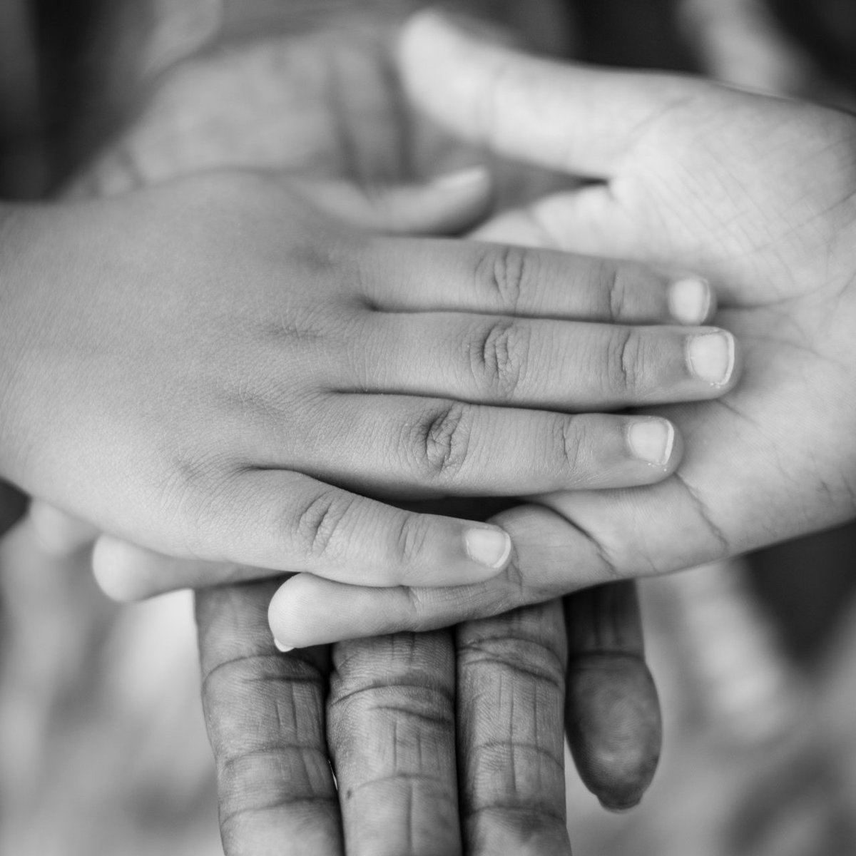 Picture Book Films tweet media