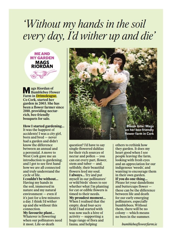 BumblebeeFarm_'s tweet photo. Lovely piece in last weeks Sunday independent thanks so much #franpower for giving a little insight into what we do and why we do it the way we do ππ¦ππ https://t.co/sWRyhNLQVa