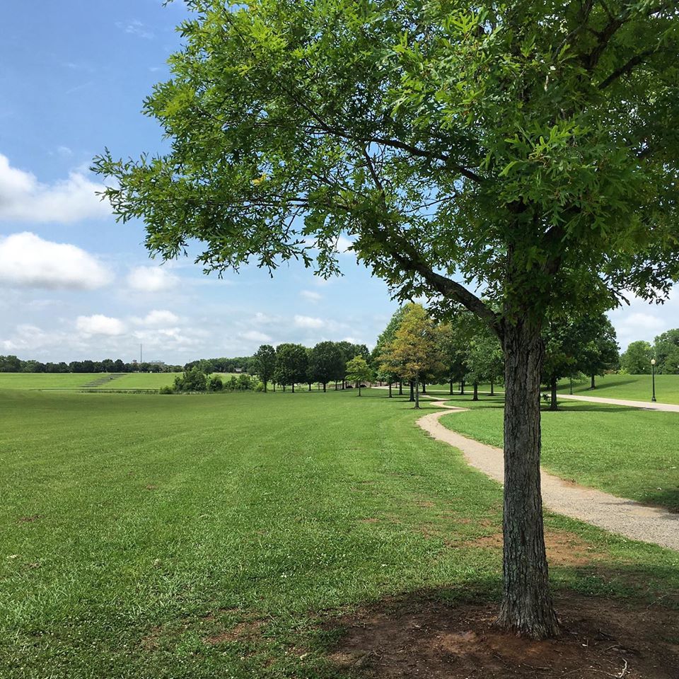 PandRMontgomery's tweet photo. All @CityofMGM parks remain open.  However, due to restrictions put in place by Governor Ivey, we ask that you do not use the playgrounds until, as of now, April 17th. https://t.co/AQvu0j9UKI