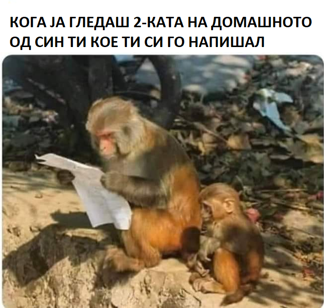 😂😂😂