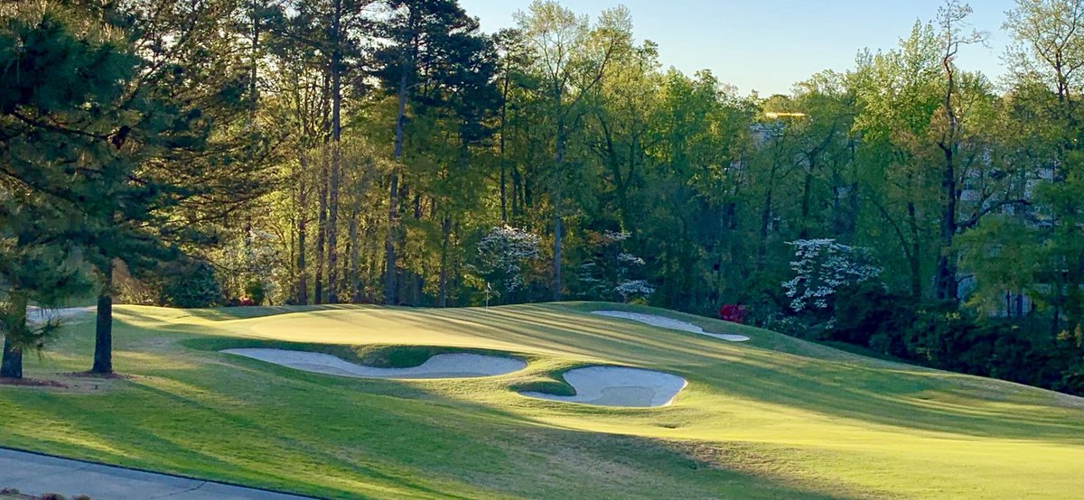 CarolinaCCTurf's tweet photo. Mow and roll on greens, fresh cut on fairways and approaches. Beautiful day for golf at CCC. https://t.co/pqDdSux9As