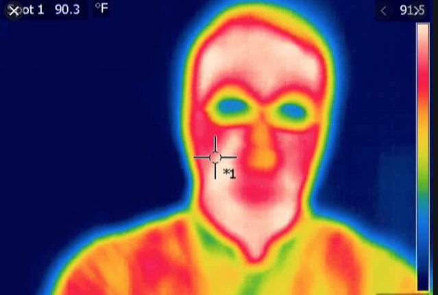 2. Detecting people with fevers in large crowds: Scylla, sells image recognition systems that, among other things, detect guns held by individuals in large crowds of people, has adapted their thermal imaging to identify which individuals in a large group have fevers.