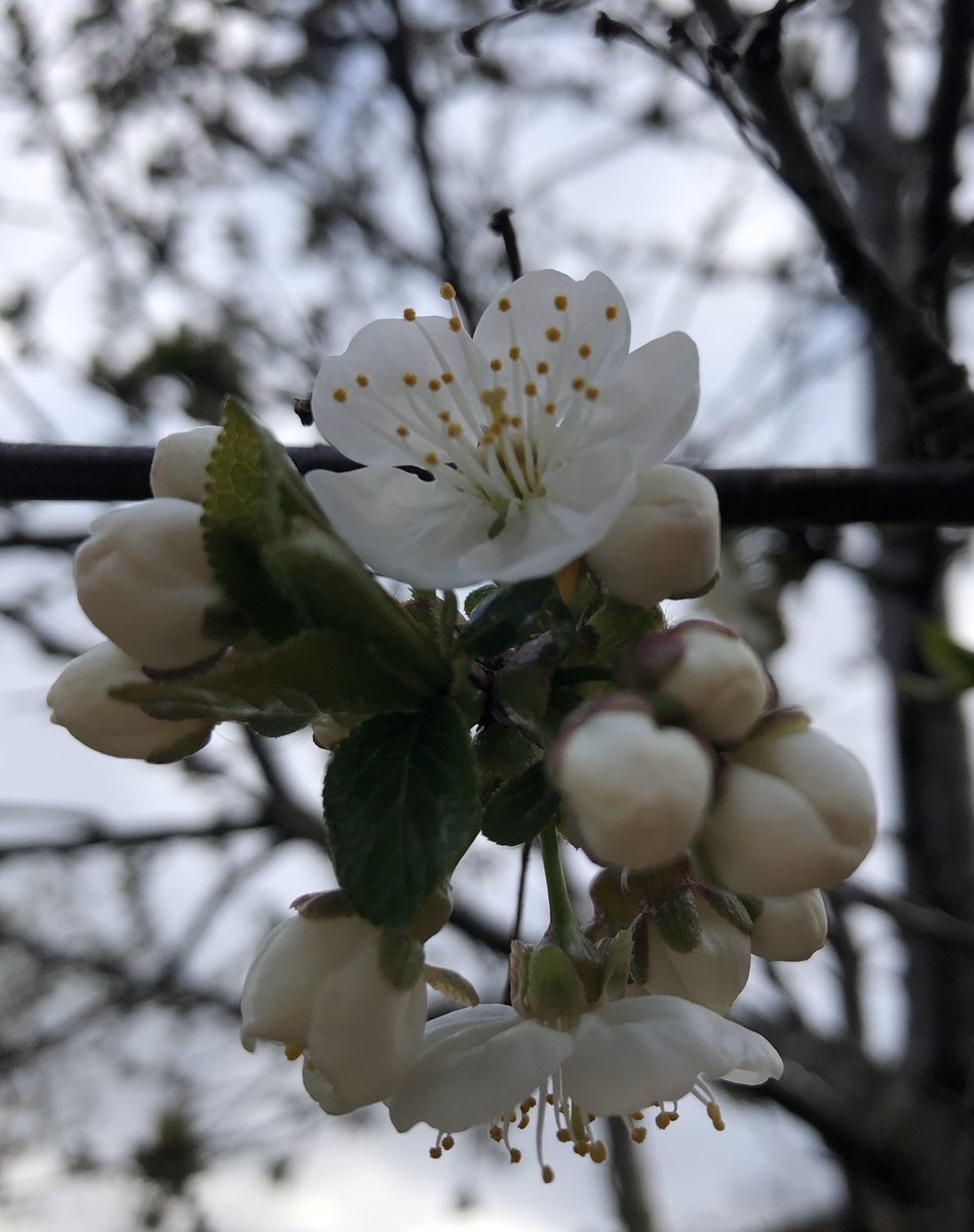 EBWatts Artist tweet media