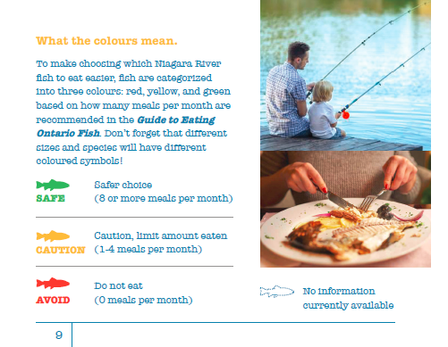 The booklet has colour-coded symbols to help you know which fish species and sizes are safe to eat, caution (limit eating), or should be avoided. /2