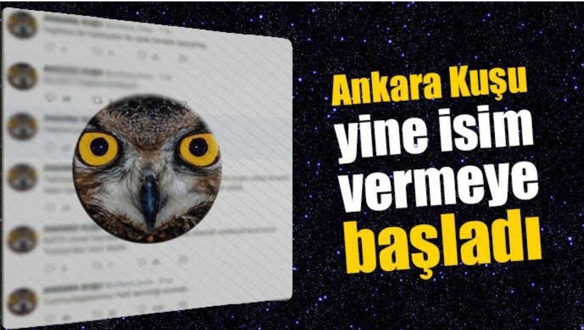 4- Ankara Kuşu’nun diyalog halinde olduğu G.K. ve B.I. Vasıtasıyla Ak Parti aday adaylarının isim listelerine ulaştıkları, birçok aday adayı hakkında karalama yapması için Oktay Yaşar’ın görevlendirildiği tespit edildi.