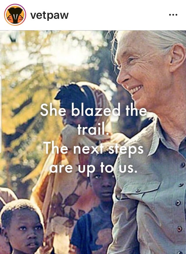 Happy Birthday Jane Goodall !  