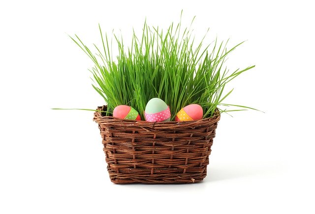 Cusiflorence's tweet photo. Non sai come consegnare l’Uovo di Pasqua? Chiama Cusiflorence Services! #cusiflorence #cusiflorenceservices #trasportomerci #trasportosustrada #trasporto #merci #pasqua #pasqua2020 #uovodipasqua #uovodicioccolato #consegnaadomicilio https://t.co/A5xUVcxxOR